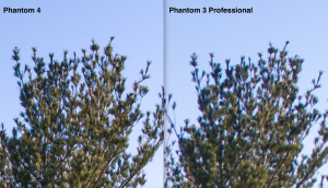 P4 vs P3P detail comparison 1
