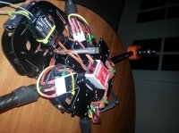 20130301_071151a.jpg