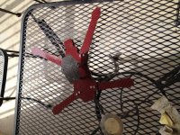 IMG_1617.jpg