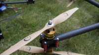 _1060854.jpg