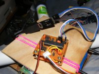 DSCF3796.jpg