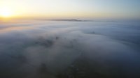 prees_abovemorning fog.jpg