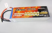 gens ace lipo.jpg