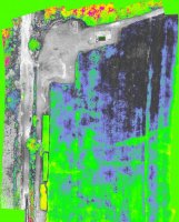 Color NDVI TEST.jpg