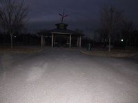 nightShot1.jpg