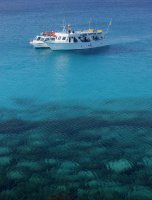 Agia Napa Glassbottom Boats-1.jpg