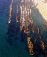 Karpaz Coastline-1.jpg