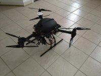 Raven Y6 rear.jpg
