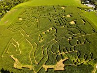 cornMaze.jpg
