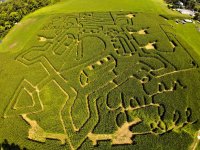 cornMaze.jpg