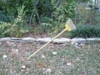 broom1.jpg