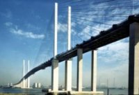 dartford_bridge.jpg