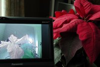 S1010001.JPG