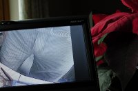 S1010002.JPG