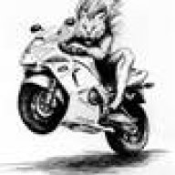 FastCat Studio
