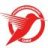 Hummingbird.UAV