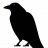 Crowzi