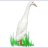 RunnerDuck