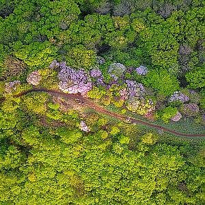 [4K Drone Footage] Spring of Mt. Jiri | Mountains of Korea | DJI Mavic Pro 4K - YouTube